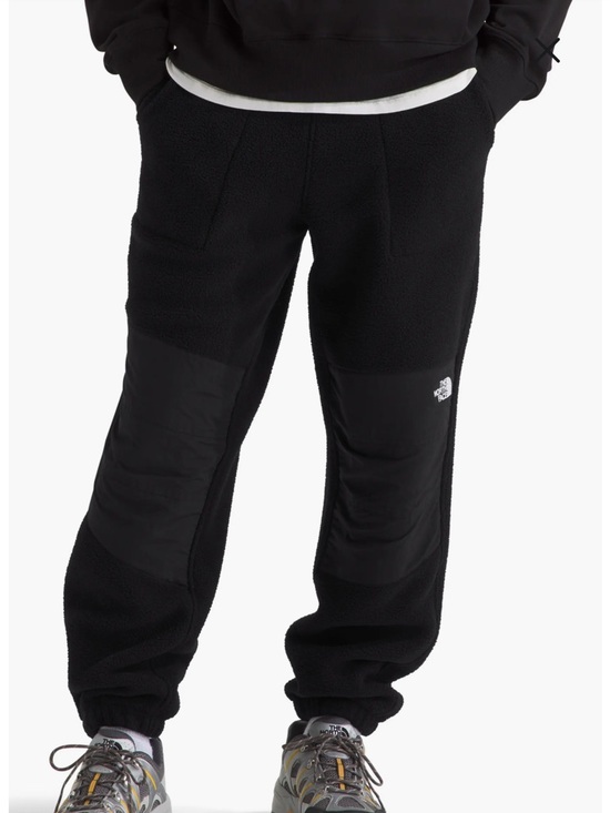The North Face Other - The North Face Retro Denali Fleece Pants